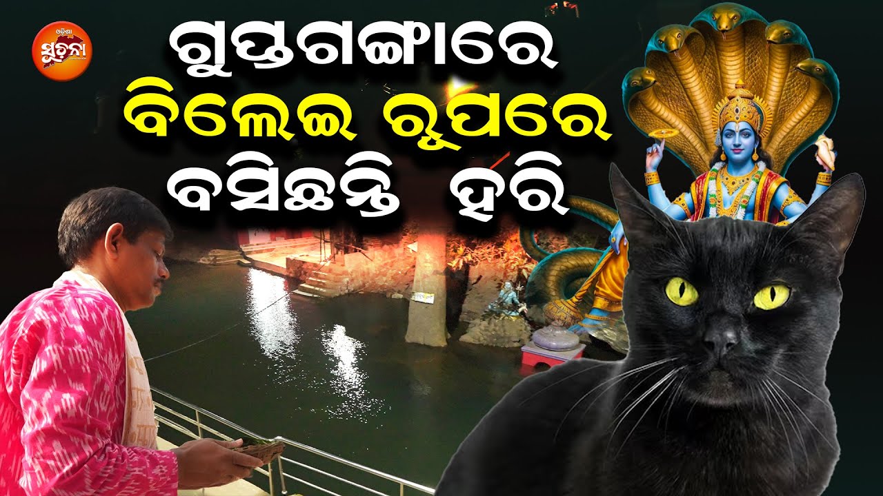 ରହସ୍ୟମୟ ଧାର୍ମିକ କଥା: ଏଠାରେ ଢୋଲ ବାଜିଲେ ବାହାରେ ପାଣି, ବିଲେଇ ରୂପରେ ପୂଜା ପାଆନ୍ତି ହରି | Nrusinghanath | OS