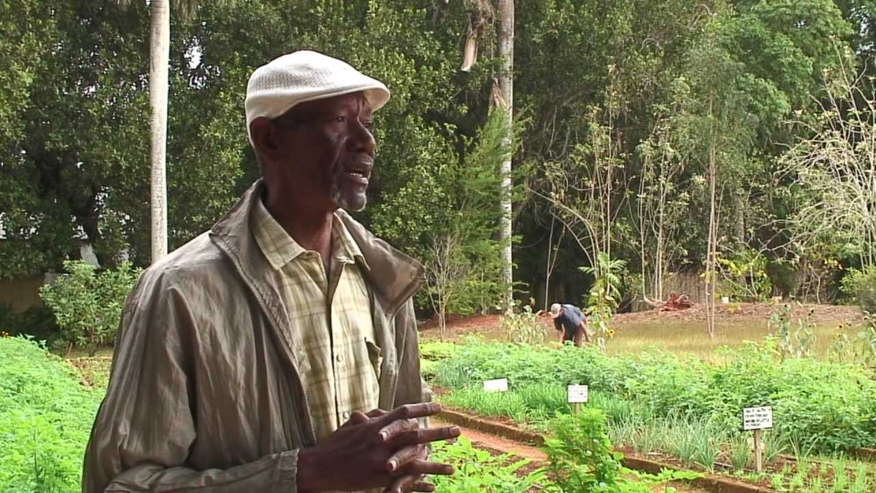 Agricultura Urbana en Cuba 3/3