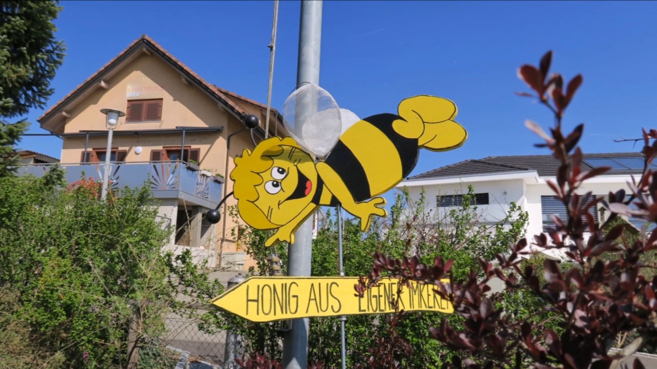 Kirschbl&uuml;ten und andere Sch&ouml;nheiten  im Schwarzbubenland /  Gempen   /// 8. April 2017