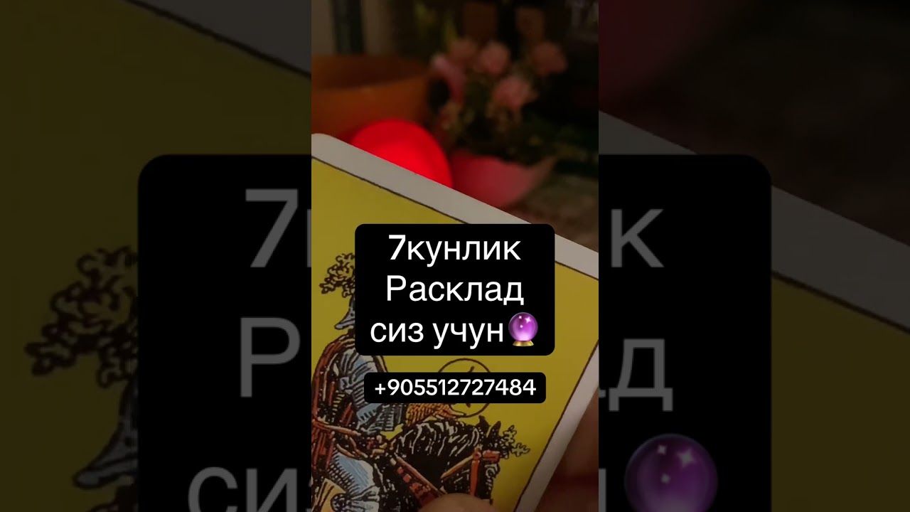7 КУНЛИК РАСКЛАД🔮