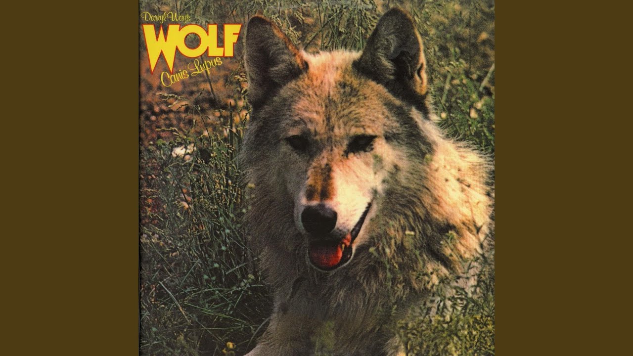 Wolf