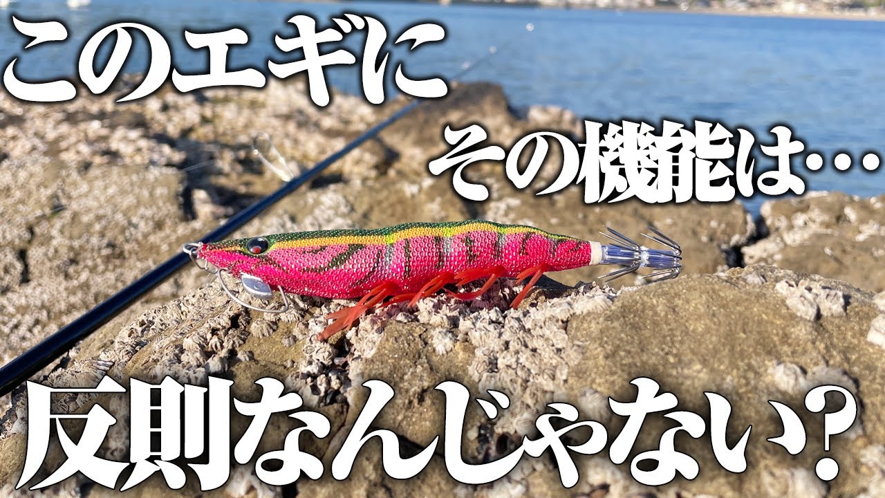 超実力派の名作エギに“あの機能”が搭載されたと聞いて、その実釣性能を試してみたら…