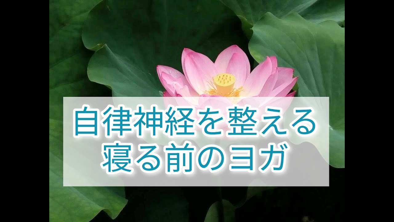 【17分】自律神経を整える寝る前のヨガ