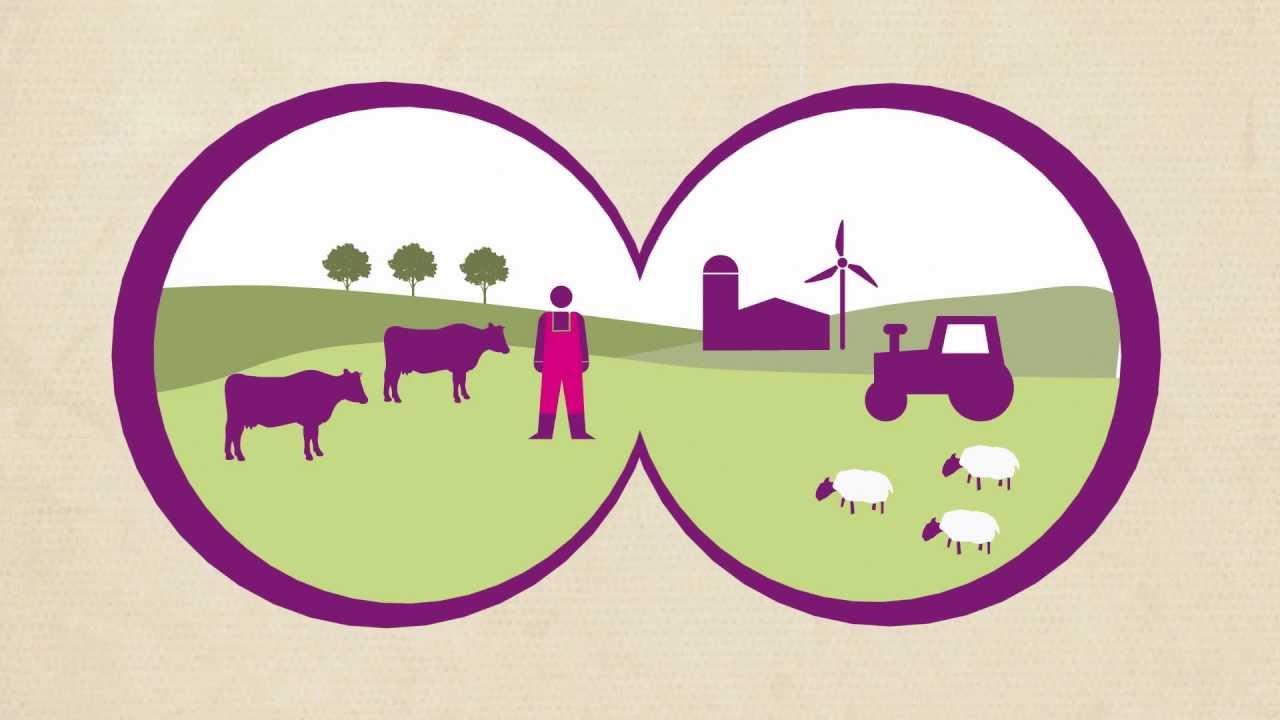 Making your milk sustainable - a vision for a sustainable dairy industry