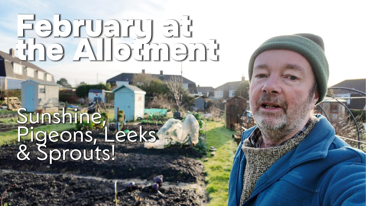 Cornish Allotment In February | The Growing Season Begins