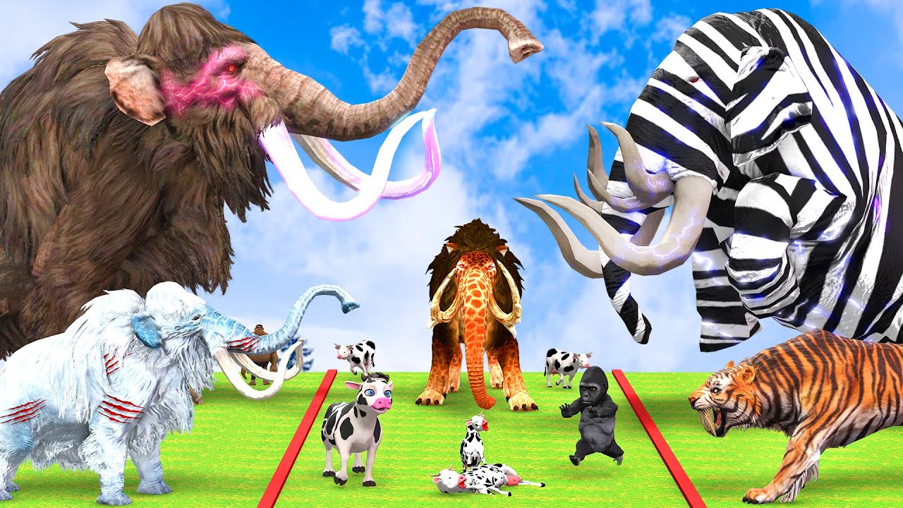 5 Giant Mammoth Elephant Cow vs 10 Giant Tiger Lion vs 5 Elephant Attack Cow Saved by Woolly Mammoth