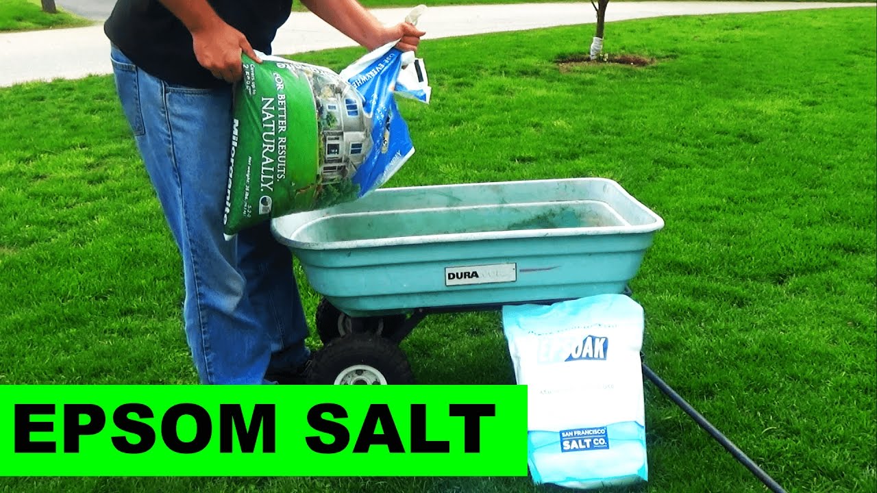 Using Milorganite to Apply Epsom Salt to your lawn