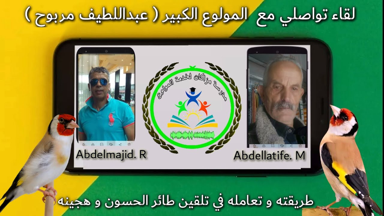 لقاء ولاعي : تلقين طائر الحسون وهجينه