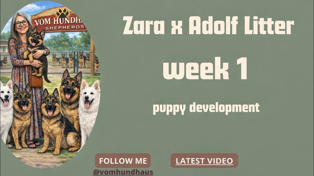 Adolf Zara Litter Day 7 @VomHundhaus 
