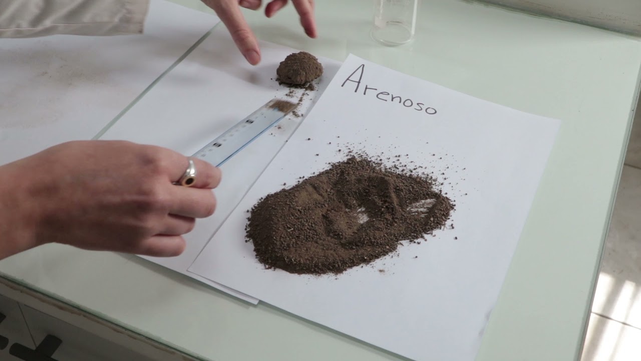 Agua del suelo - Estimación de la Capacidad de Campo