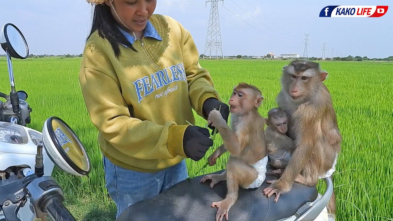 Adorable Luka's Family Relaxing At Rice Field Together