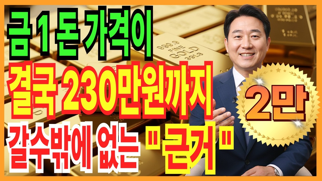 왜 금 1돈 230만 원이 가능한가, 전 세계 돈 1% 유입의 계산된 결과