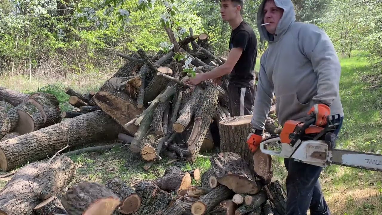 STIHL MS 361 💪💪💪🌳🌳🪓 Cutting small pieces of wood 🪵