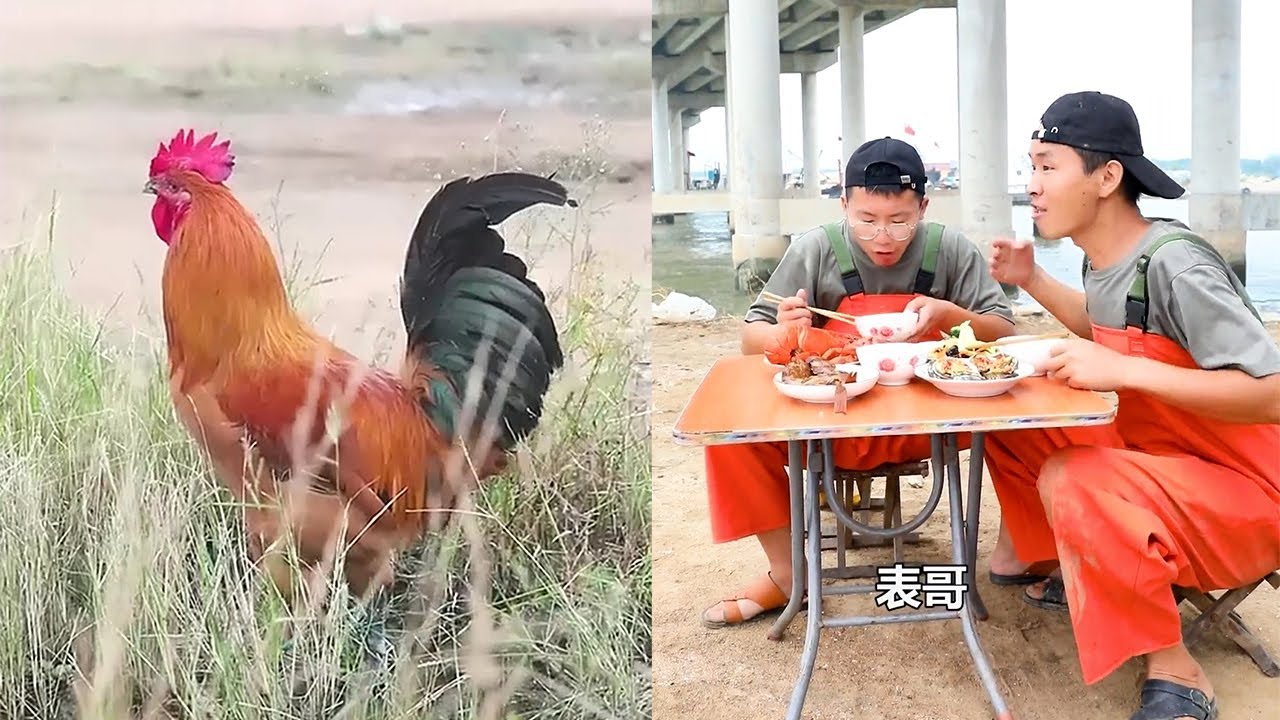 【大食い 】Chinese fishermen eat octopus, Boston lobster, scallops, clams, crabs, razor clams, conches
