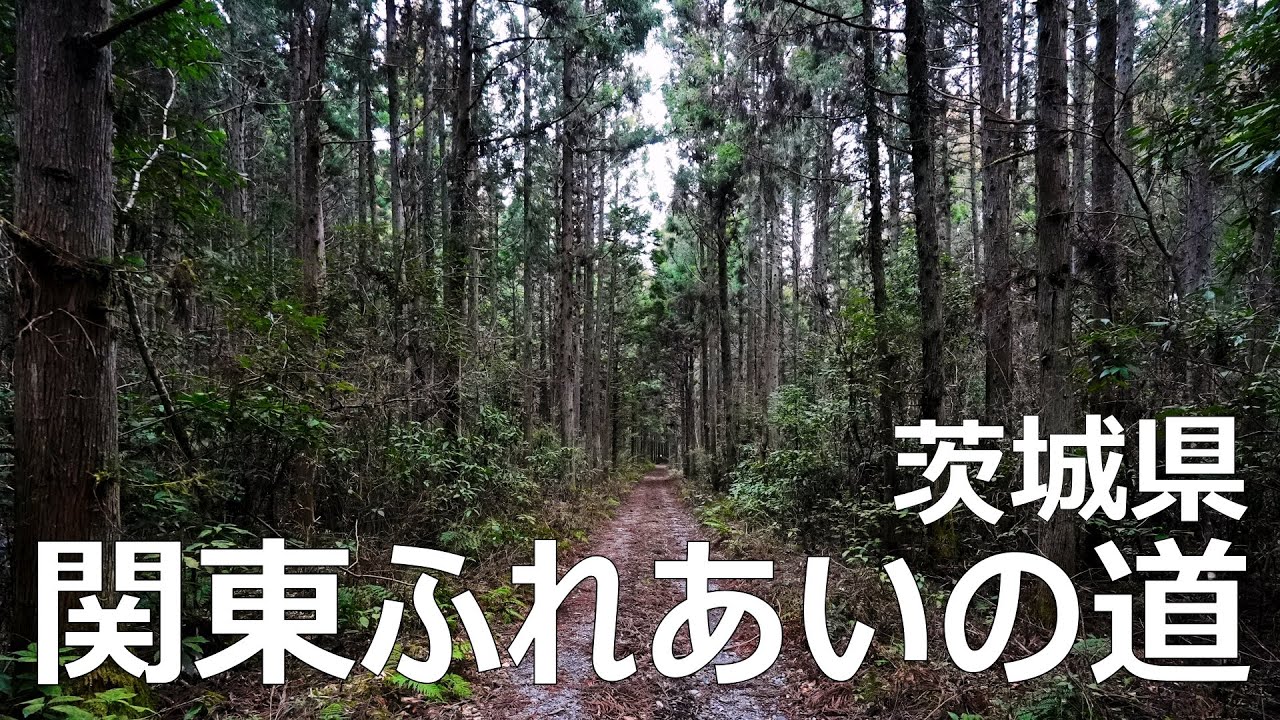【3月上旬】関東ふれあいの道茨城県☆（2.杉並木の美しいみち、3.伝説の山と僧兵ゆかりのみち、4.焼物とお稲荷さんへのみち、笠間駅～笠間稲荷～国見山～鎮守神明宮～仏国寺～井殿山～津室山～御前山）