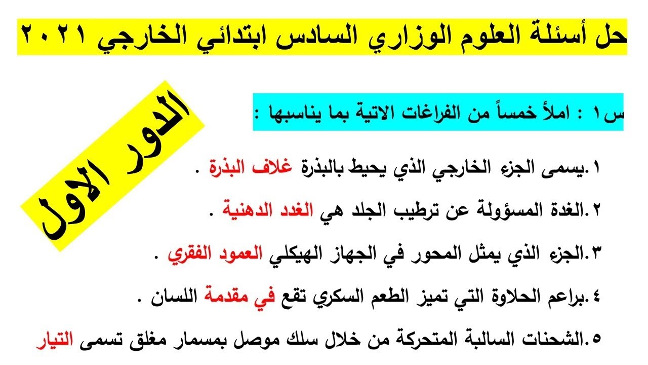 حل اسئلة العلوم الوزاري الدور الاول السادس ابتدائي الخارجي 2021