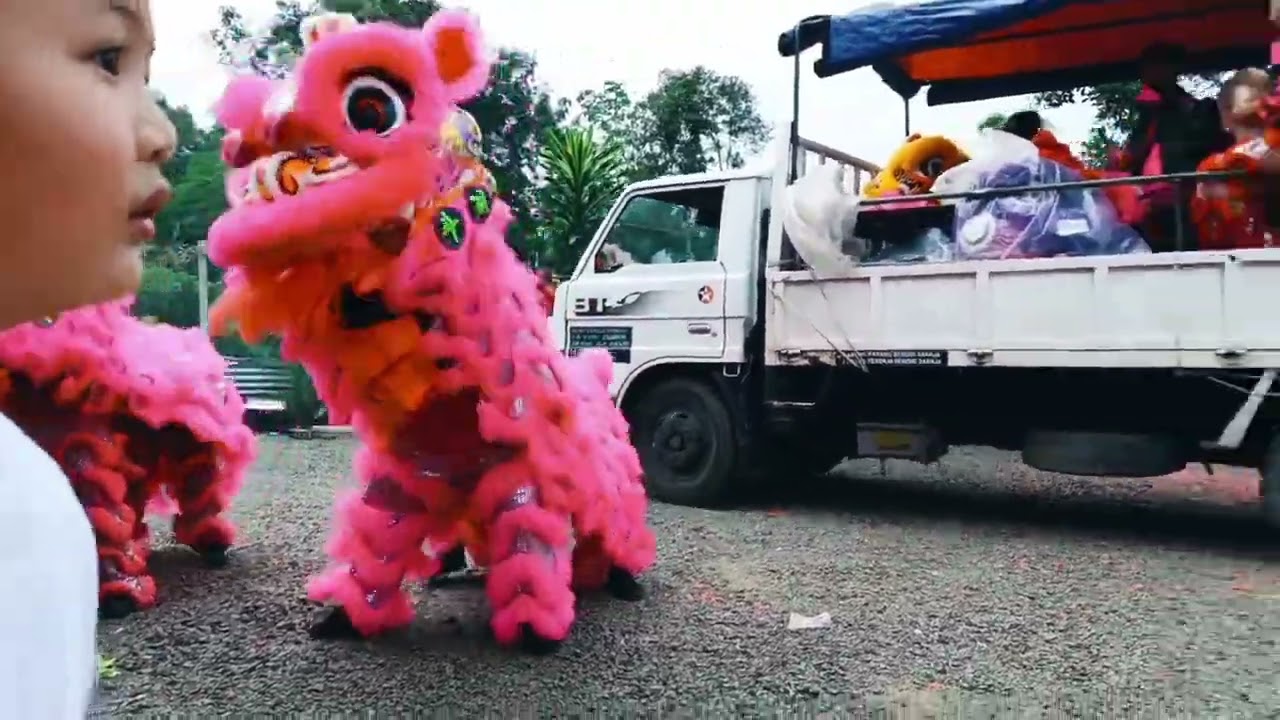 Lion Dance Came To Our House!(Third day of CNY)