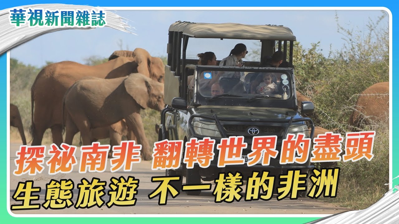 【探祕南非】生態旅遊 不一樣的非洲｜記者 陳沿佐 林乃絹 盧松佑｜華視新聞雜誌EP2386單元3 2023.10.28