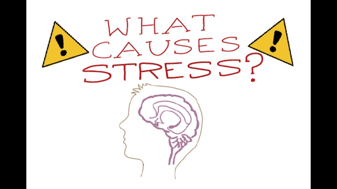 What Is Stress? - An Illustrated Summary