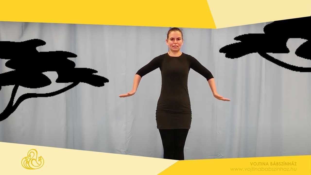 Vojtina B&aacute;bsz&iacute;nh&aacute;z - A mozg&aacute;s &eacute;s t&aacute;nc napja: &Aacute;llati!