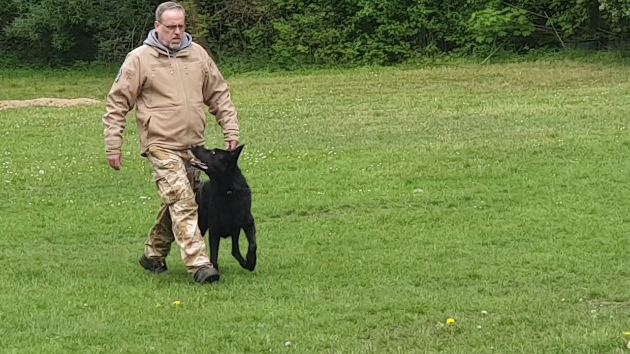 DGPO Prüfung 2019 Unterordnung