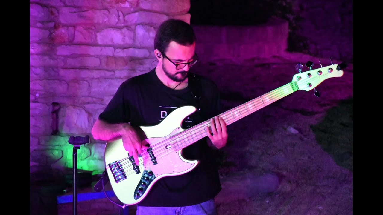 NO WALL | Pigs | Pink Floyd Tribute Band
