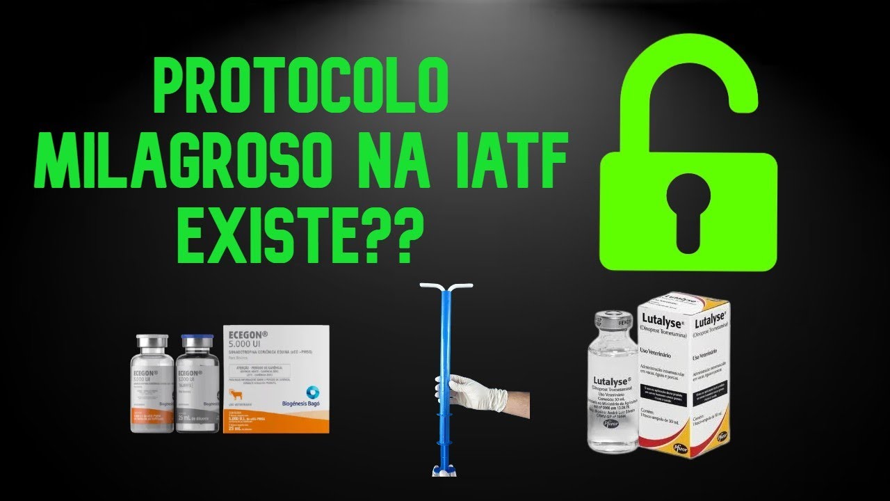 PASSO A PASSO DO PROTOCOLO de IATF - Como fazer IATF NA FAZENDA - IATF DE PRECISÃO