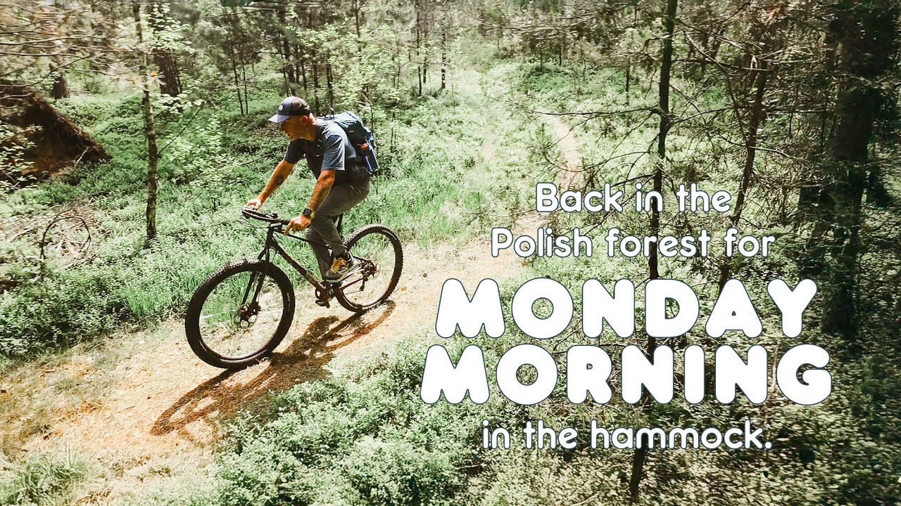 Monday Morning: book, hammock & Polish forest - Poniedziałkowy poranek: książka, hamak i polski las.