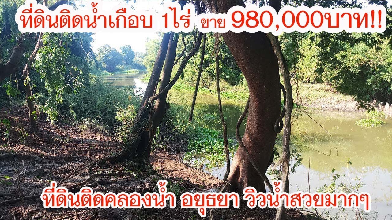 (ปิดการขาย) ขายที่ดินติดน้ำ คลองบางพระครู อยุธยา เกือบ 1ไร่ วิวน้ำสวย #ขายที่ดินราคาถูก  980,000บาท