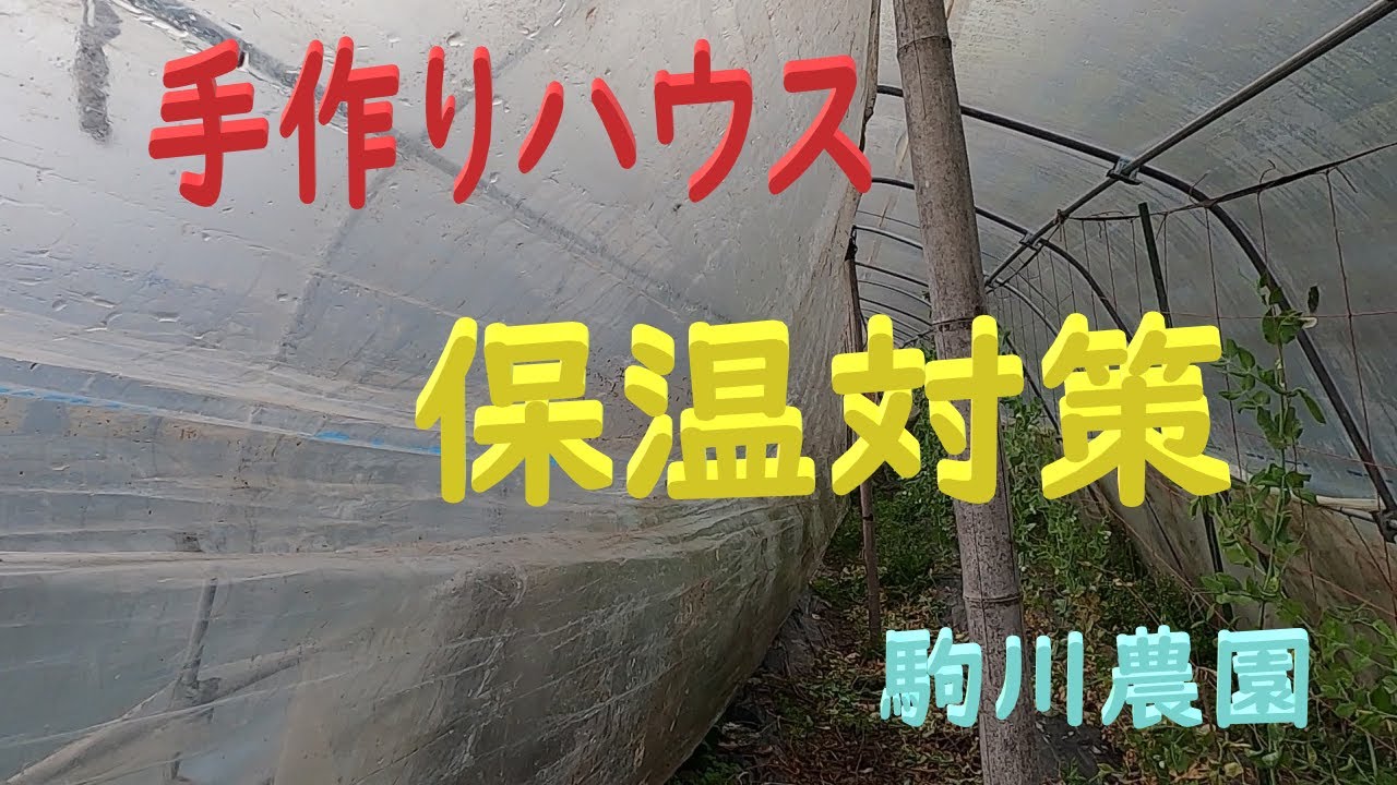 手作りハウス保温対策　目指せ100品目　邑南町　駒川農園　21.11.13