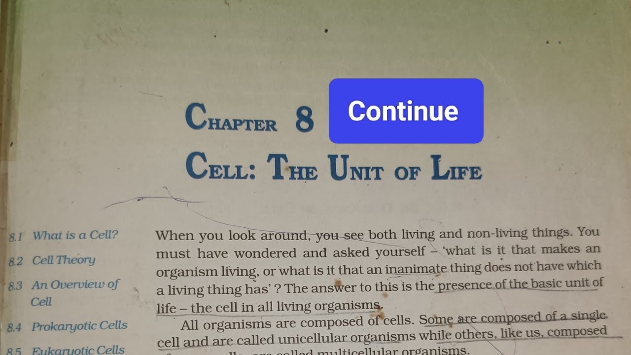 Difference between prokaryotic cell and eukaryotic cell | cell:The Unit of Life | Class XI Biology 