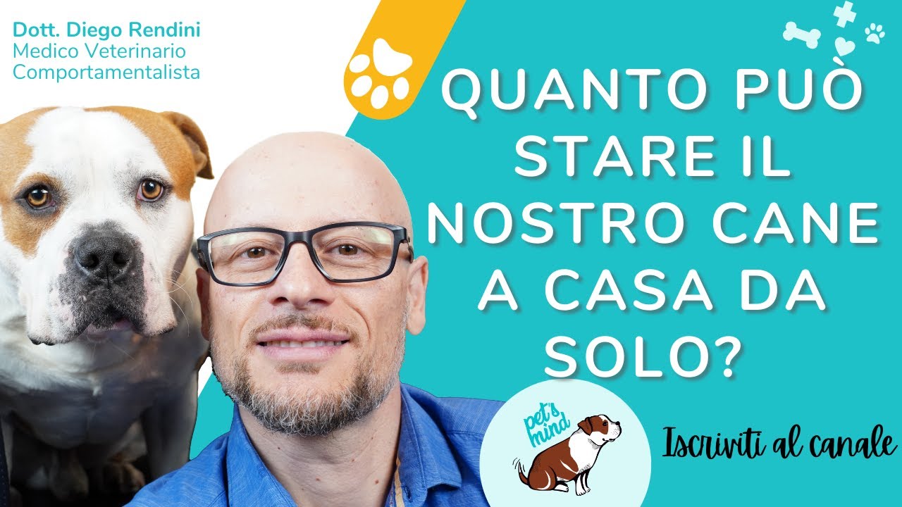 Quanto pu&ograve; stare il nostro cane a casa da solo?