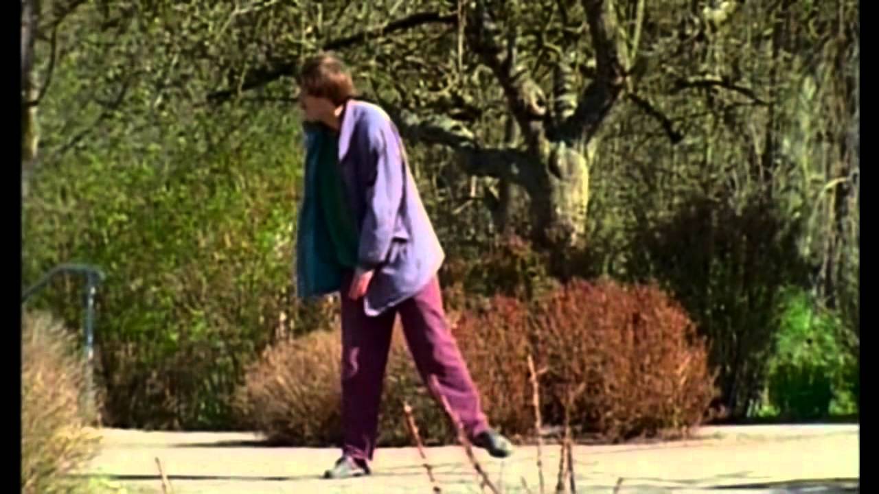 Verschiedene Schwarzt&ouml;ne