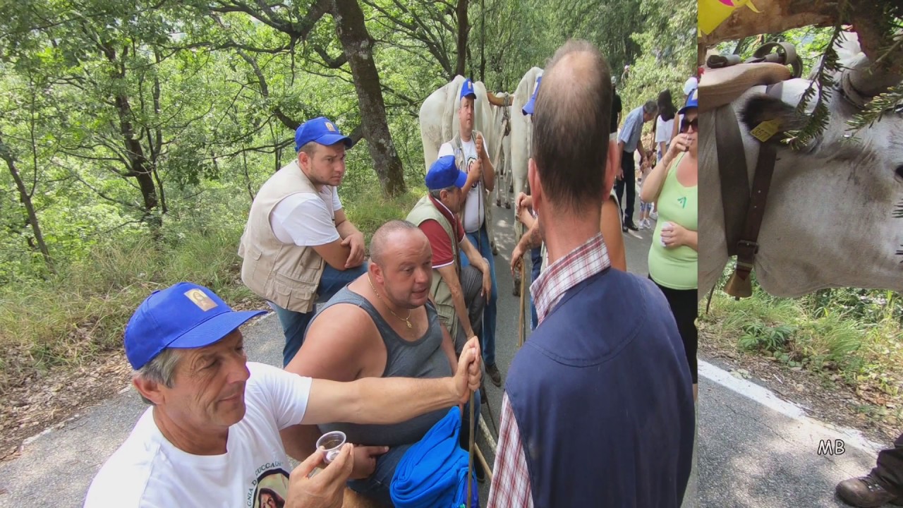 Viggianello San Francesco di Paola 2018