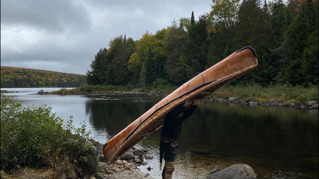 First Moose Hunt with Camera instead of a Gun | BUSHCRAFT | BIRCH BARK CANOE | ALGONQUIN PARK