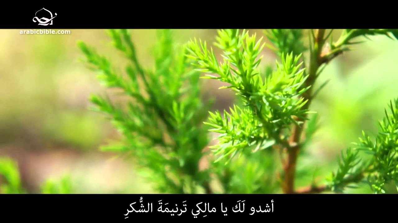 ما أعجب النعمة - شمس سعد Amazing Grace - Shams Saad