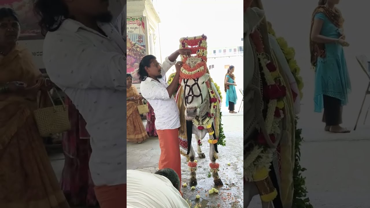 BIJAPUR COUPLES 🥰  my YouTube channel subscribe #live#viralshort ಬಸವಣ್ಣ ಎಲ್ಲರಿಗೂ ಒಳ್ಳೆಯದು ಮಾಡಲಿ