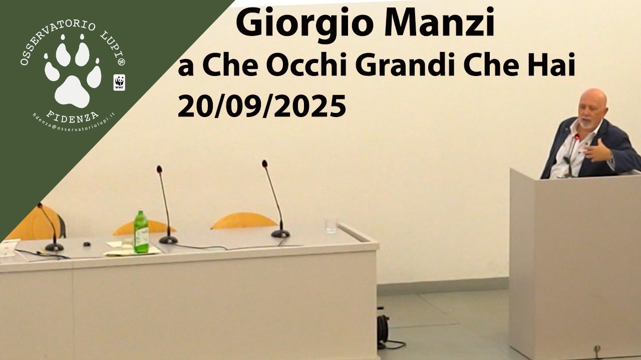Giorgio Manzi: A caccia e oltre la caccia. Elefanti, lupi, cani e altri animali nella preistoria