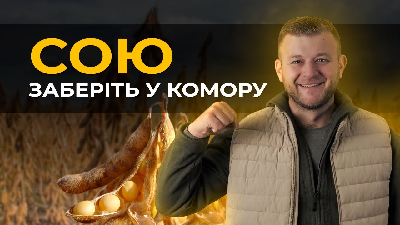 ЯК ШВИДКО ОТРИМАТИ ГРОШІ У 2024? ДЕСИКАЦІЯ?