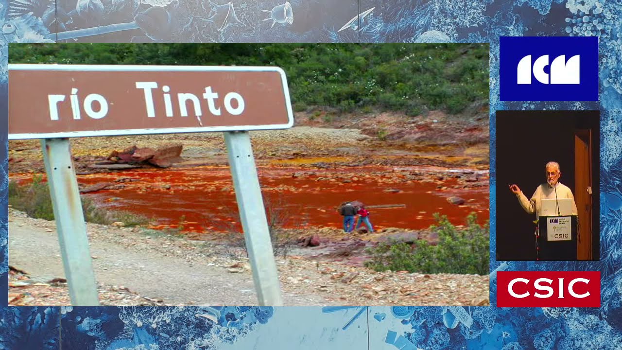 La geomicrobiolog&iacute;a de un sistema gaiano: el subsuelo profundo - Ricardo Amils