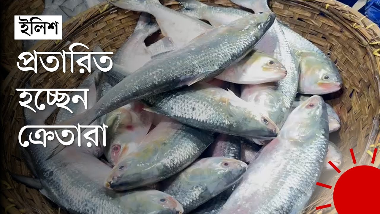 অনলাইনে বিক্রি হচ্ছে চাঁদপুরের ইলিশ | Chadpur