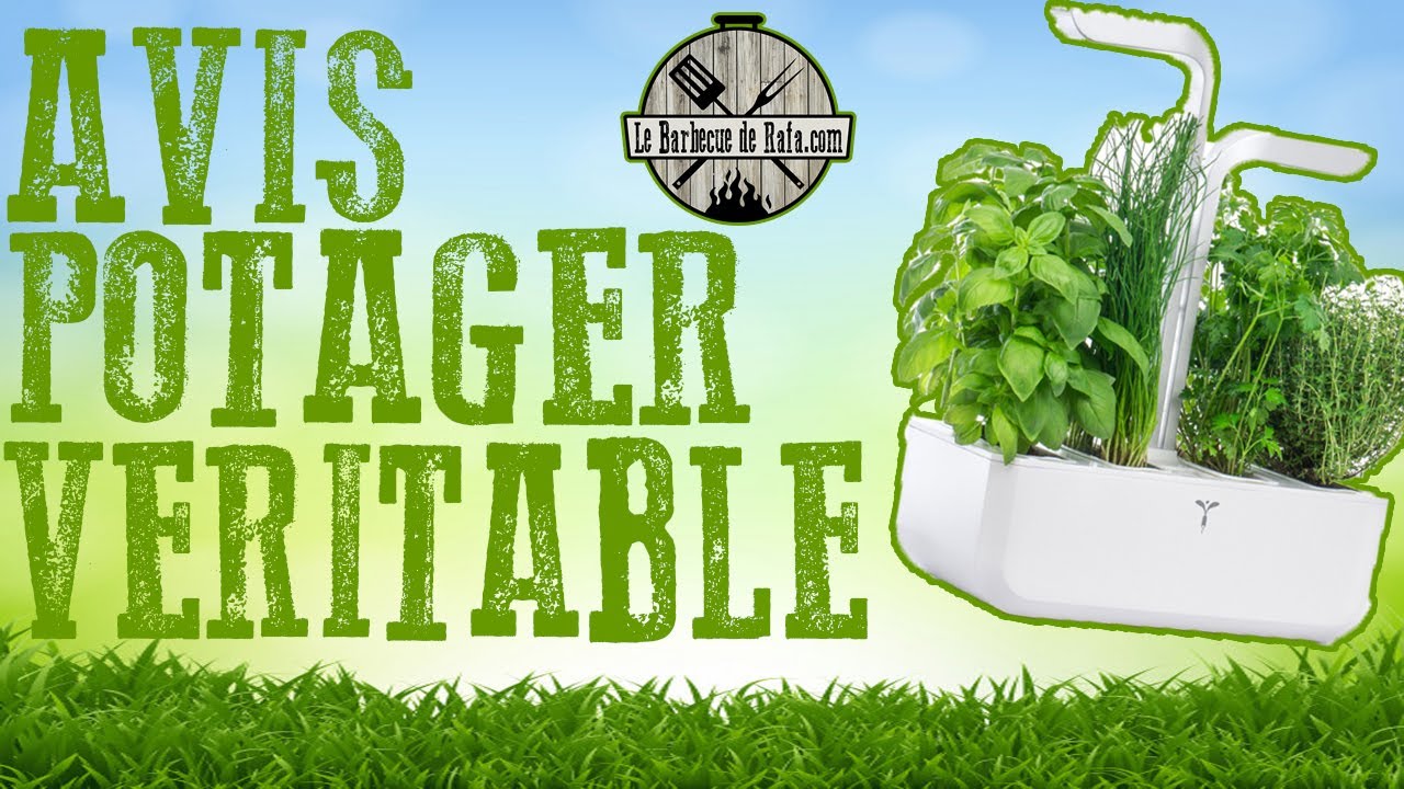 TOUT savoir sur le potager intelligent VERITABLE