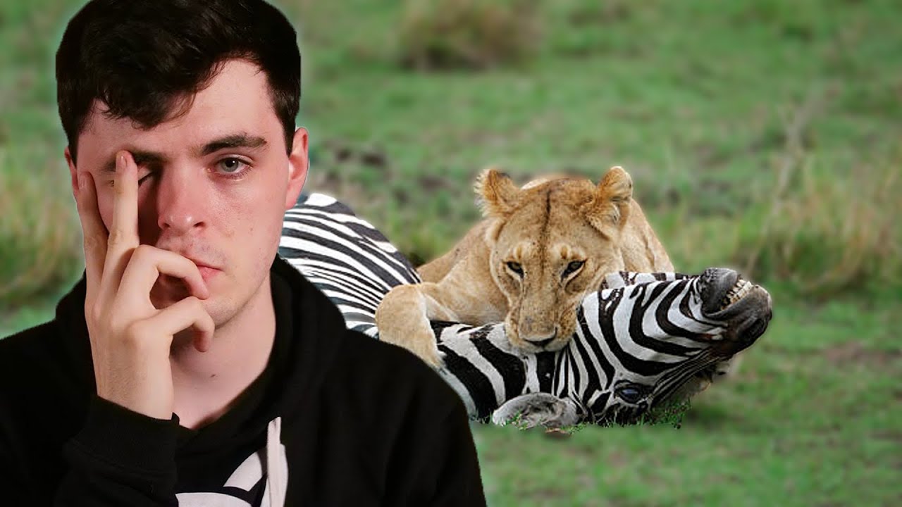 Argument from Wild Animal Suffering for Atheism | @CosmicSkeptic