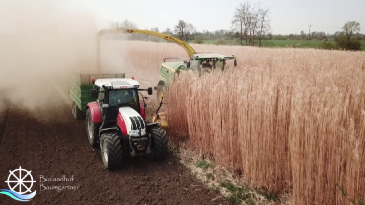 Miscanthus Ernte 2020 mit Steyr Profi 6125 und John Deere 8700i auf dem Biohof Baumgartner