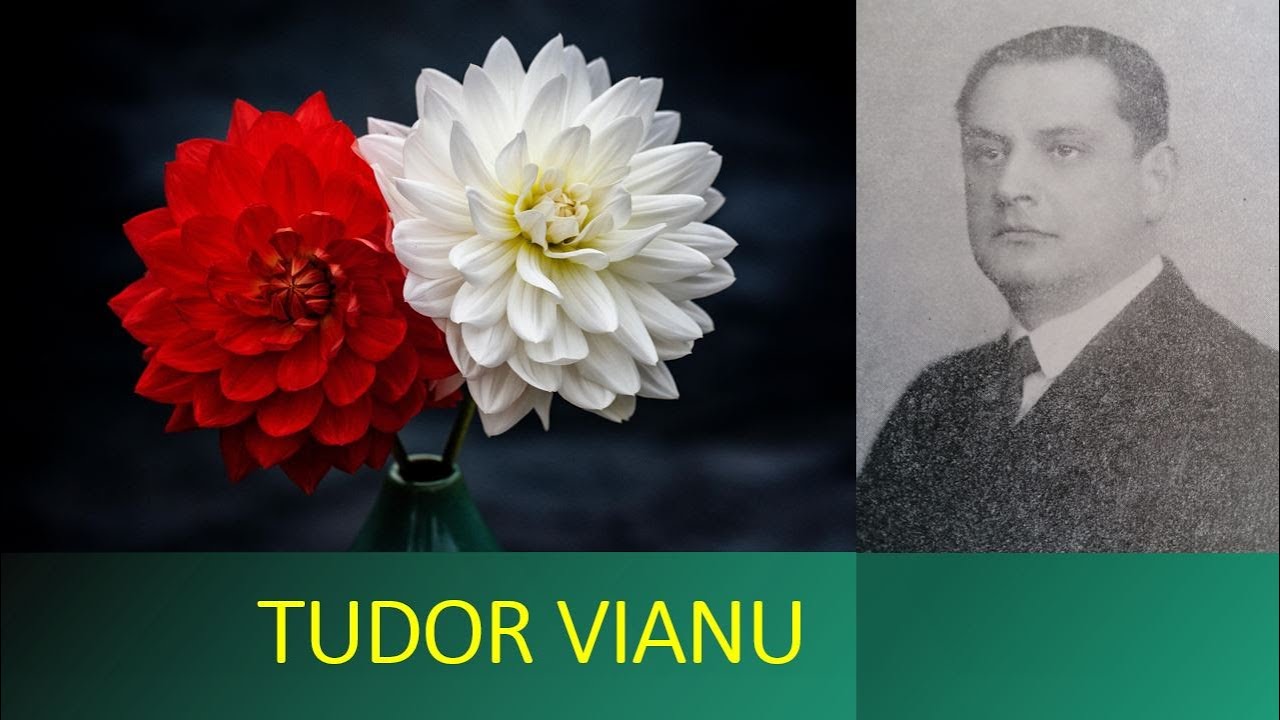 Tudor Vianu LRH (incomplet)