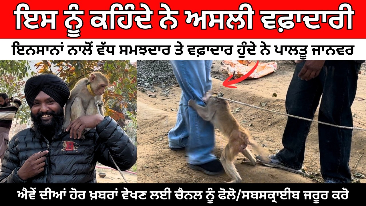 ਹੁਣ ਤੱਕ ਦੀ ਸਭ ਤੋਂ ਸੋਹਣੀ ਵੀਡੀਓ👈