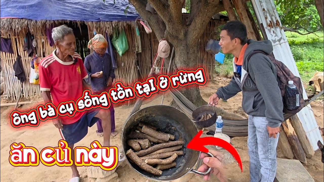 Ông bà cụ ĂN CỦ NÀY tồn tại qua ngày ở rừng || 437