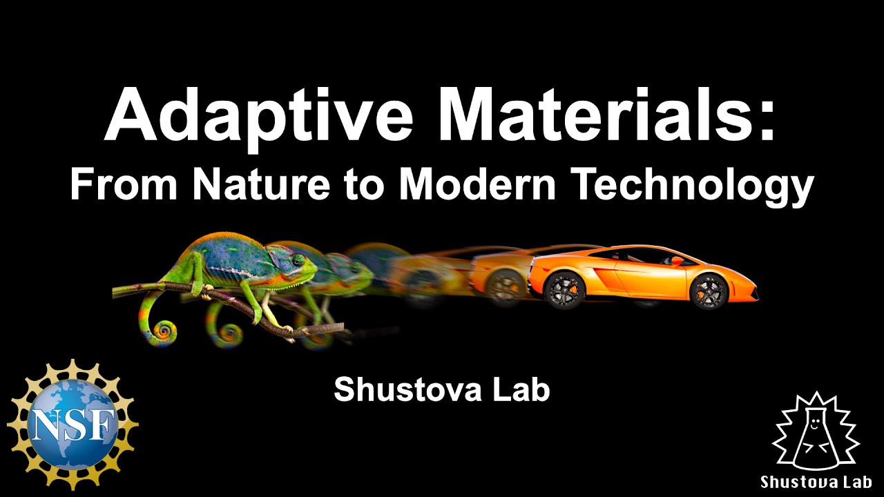 Adaptive Materials: From Nature to Modern Technology