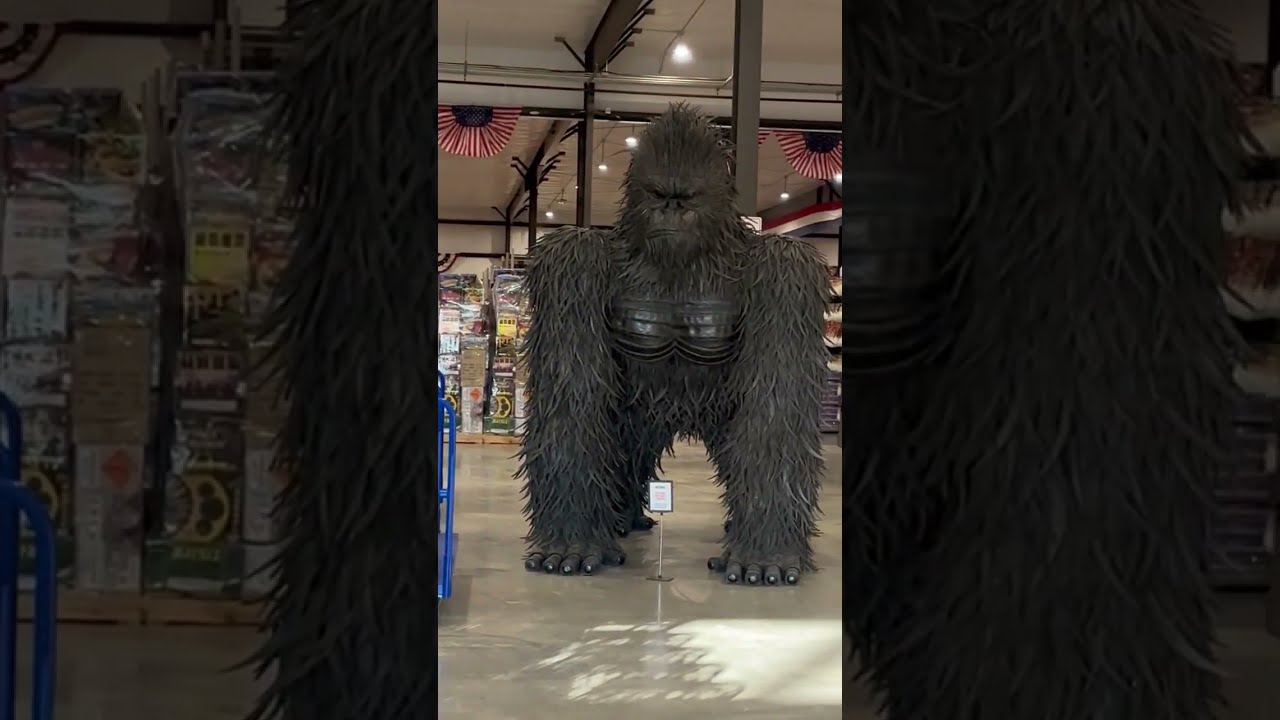 The Fireworks Superstore Hannibal - Aisle 1 - Rockets