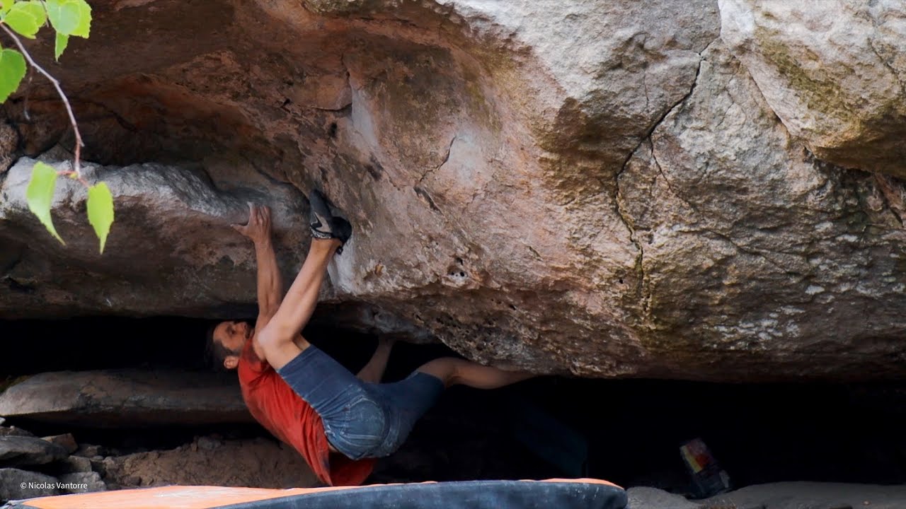 twa 7a's in Coquibus Grandes Vallées ( fontainebleau )